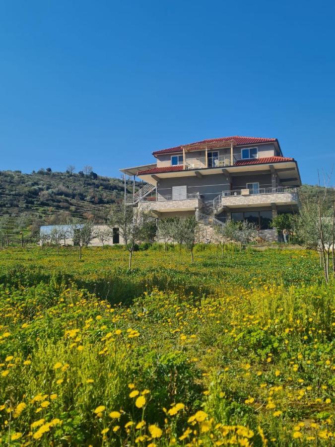 Guest House Ilir ベラト エクステリア 写真